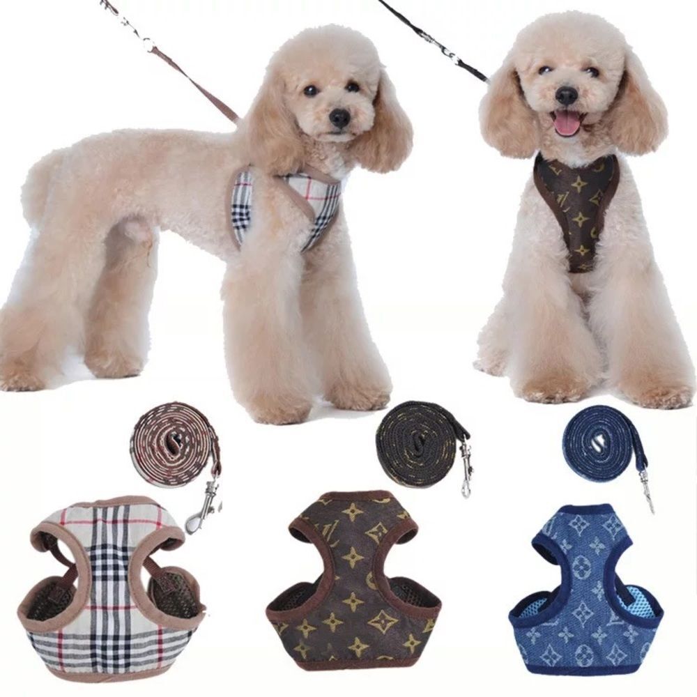 ⛔️CLEARANCE⛔️ XS Very Bougie Pet Harness